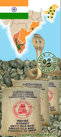 Производство зеленого кофе в Индии