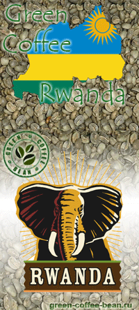 Производство зеленого кофе в Руанде. Rwanda green coffee.
